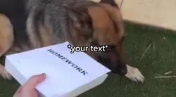 Book meme