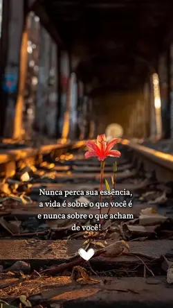 Essência 