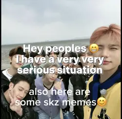 skz memes