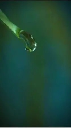 Water drop