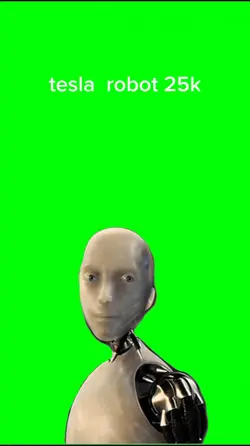 25k tesla robot