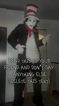 cat in the hat