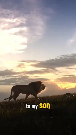 To My Son