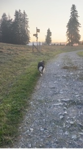 Wie ist Ihr neuer Name?