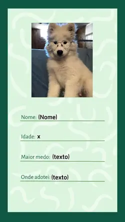 Identidade pet