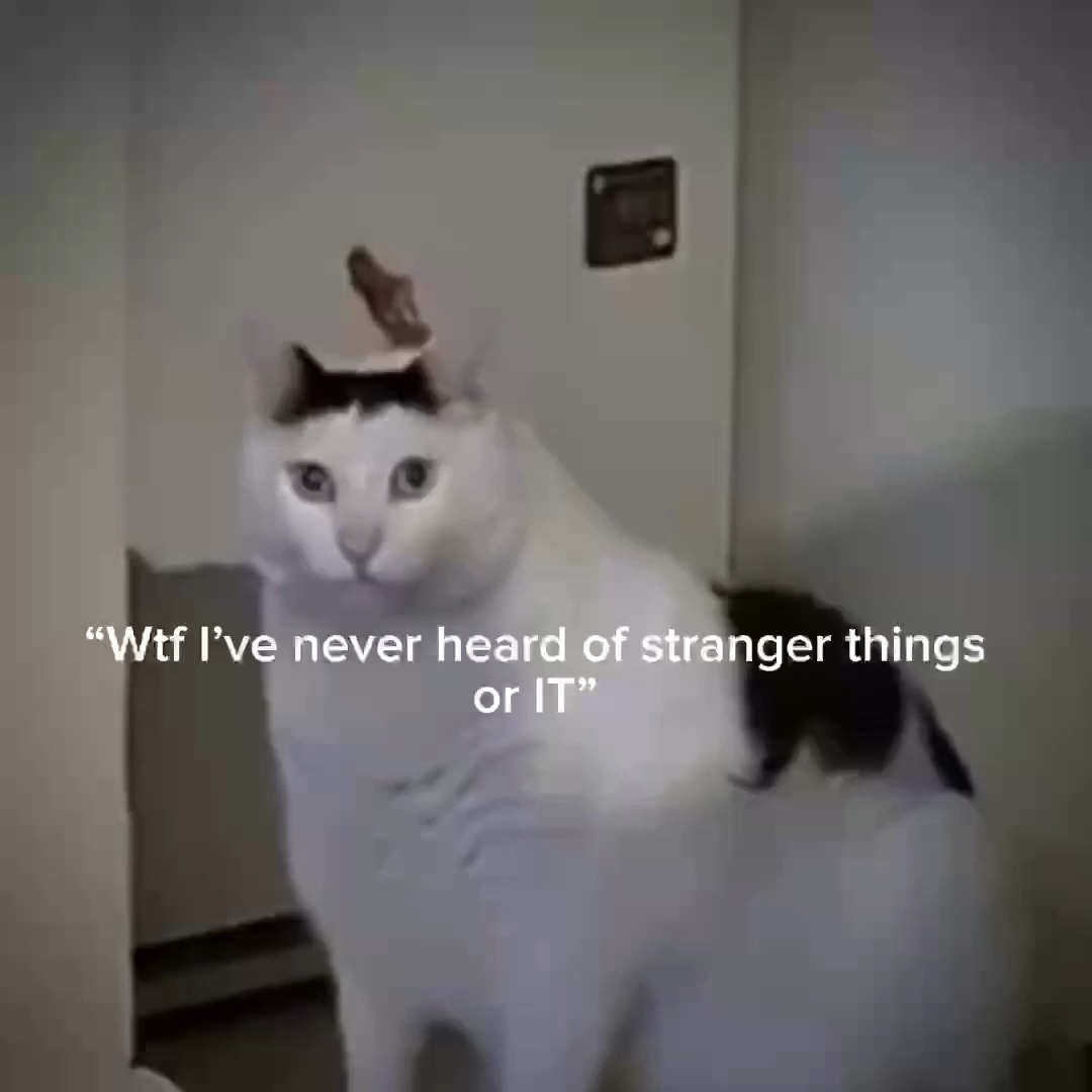嗯？猫迷因