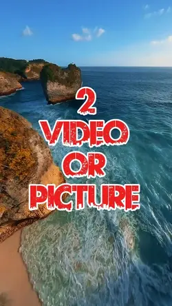2 video or picture 