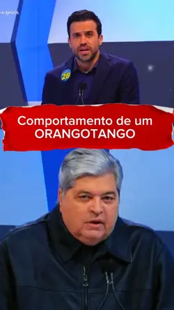 Orangotango 