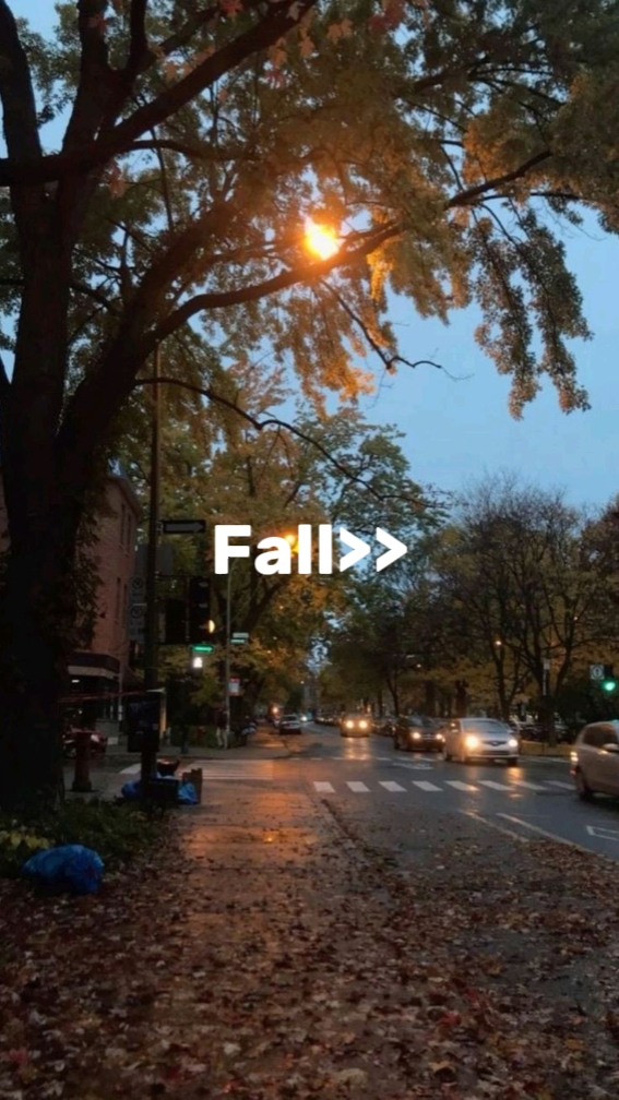 Otoño <3