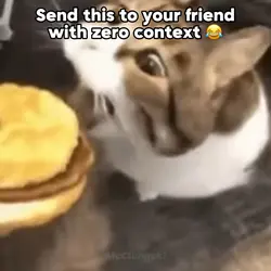 Can Has Cheeseburger