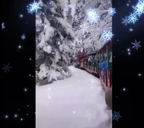 Amigos navideños 