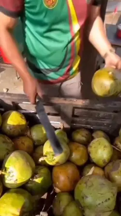 coco verde 
