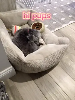 things to name me!!!