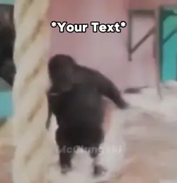 Gorilla Meme