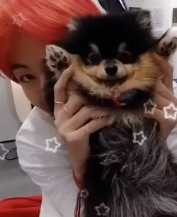 Yeontan