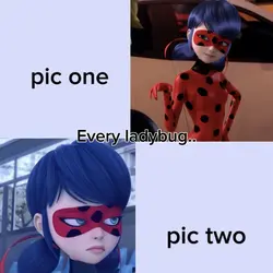 Ladybug needs…