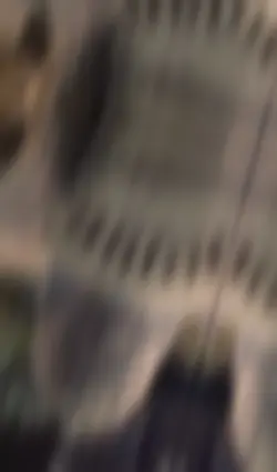 Friends template 🤝