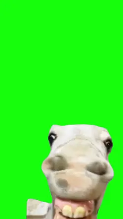 meme horse