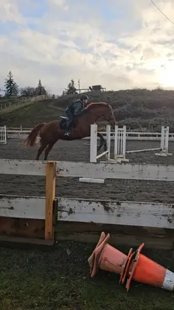 kinda launched