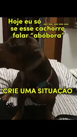Cachorro abobora