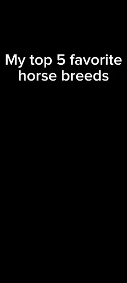 Top 5 fav horse