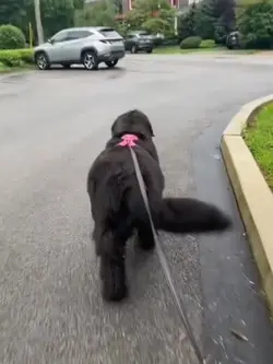 Velocity