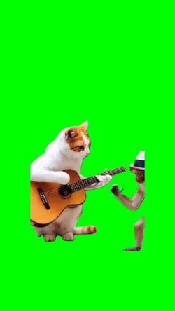cat & monk