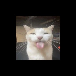 KITTYUH