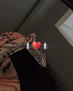 وخنده میده یاره 