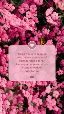 Status do dia 