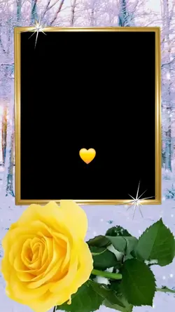 Yellow Rose