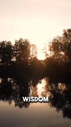 Wisdom 