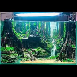 Fish tank