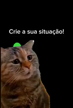 gato triste🥺