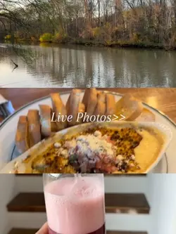 Live Photos template