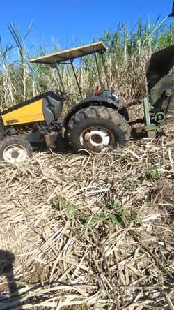 gigantes da destruiç