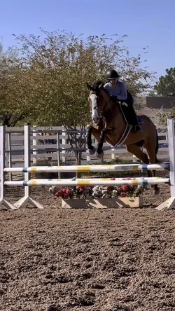 ⚠️NOT REAL⚠️FAKE‼️