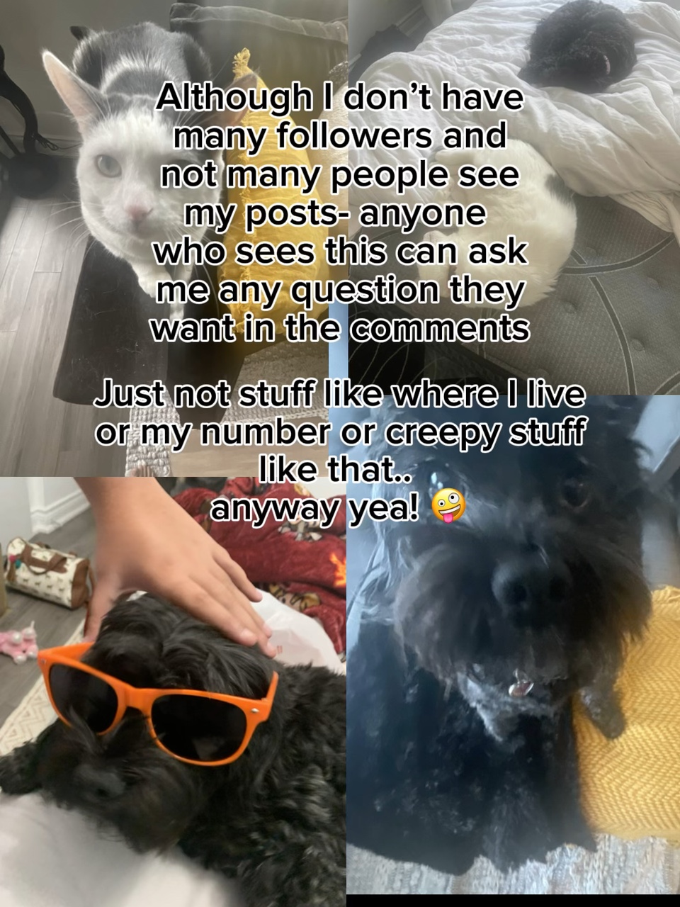 Ask away y’all