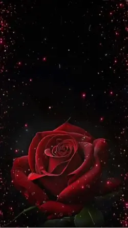🥀ESOS AMORES ♥️