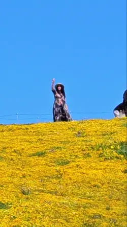 Transition video