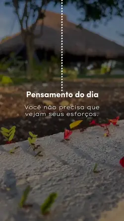 Pensamento do dia!
