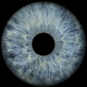 yeux bleus