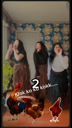 Chicken dance 