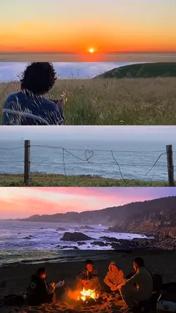 5 Video Split Screen