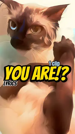 You are so beautiful