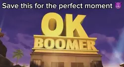 Ok boomer 
