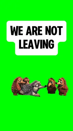 WE’RE NOT LEAVING