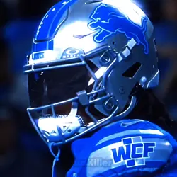 Let Go Lions 