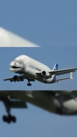 Cursed plane