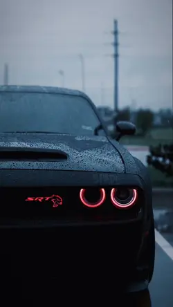 3 CLIP — TREND SONG